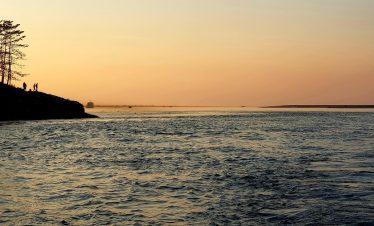 Assam Discovery 5 Nights & 6 Days
