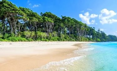 Pure Long Island Tour 4-night Tour