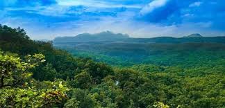Charm of Madhya Pradesh 5-Night