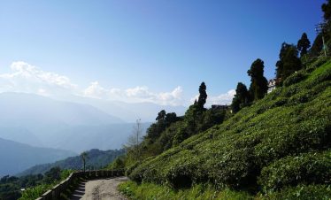 Himalayan Circuit Darjeeling & Kalimpong